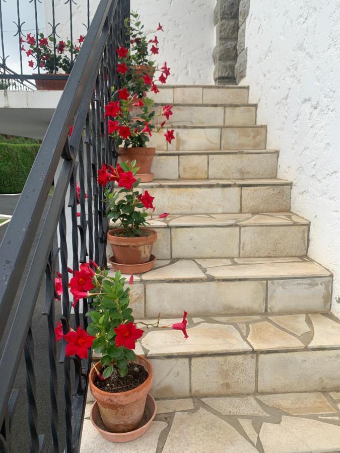A Louer Appartement Dans Une Maison Arcangues Ngoại thất bức ảnh
